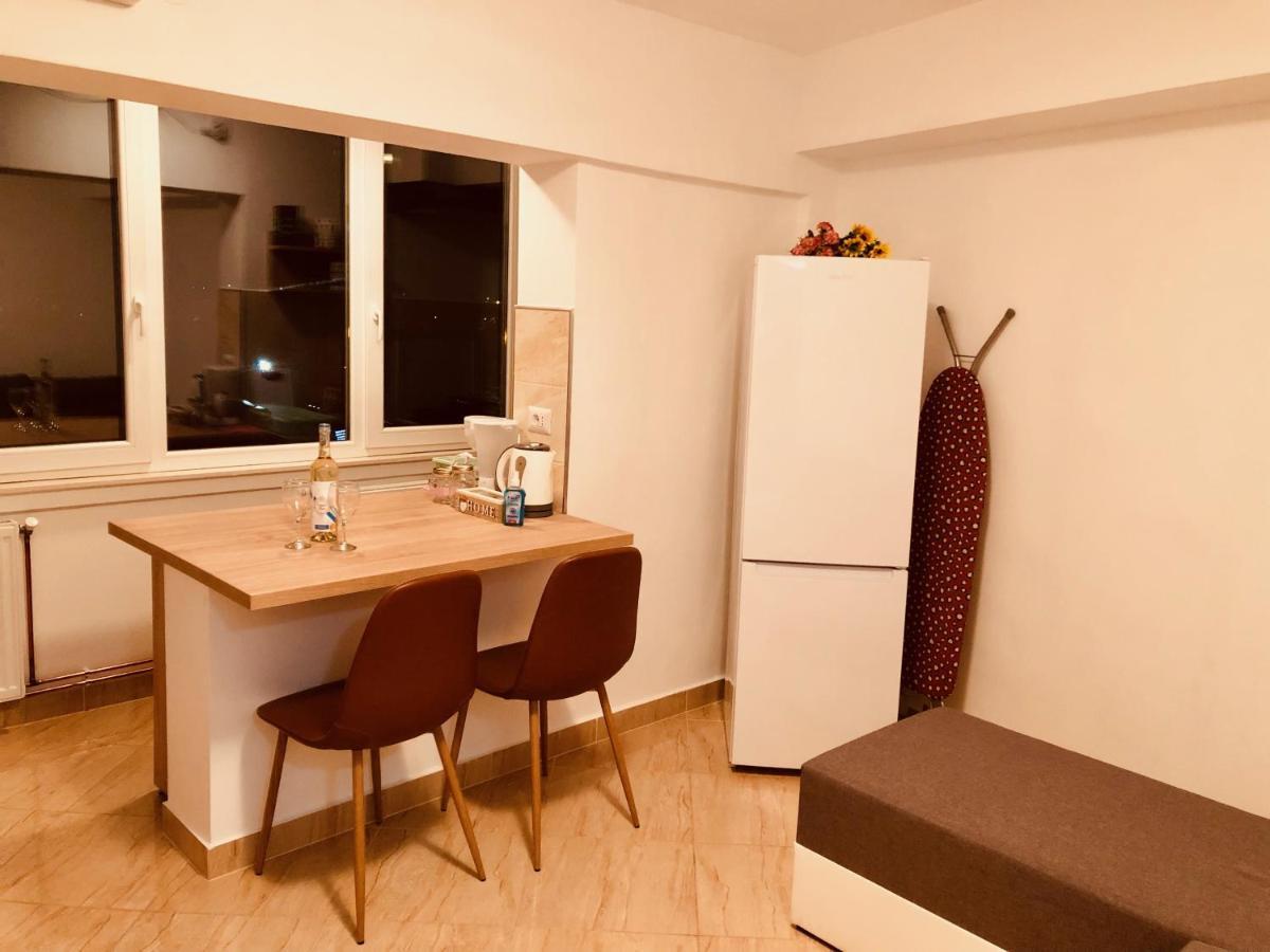 Joy City Sanatatii Apartment Timişoara